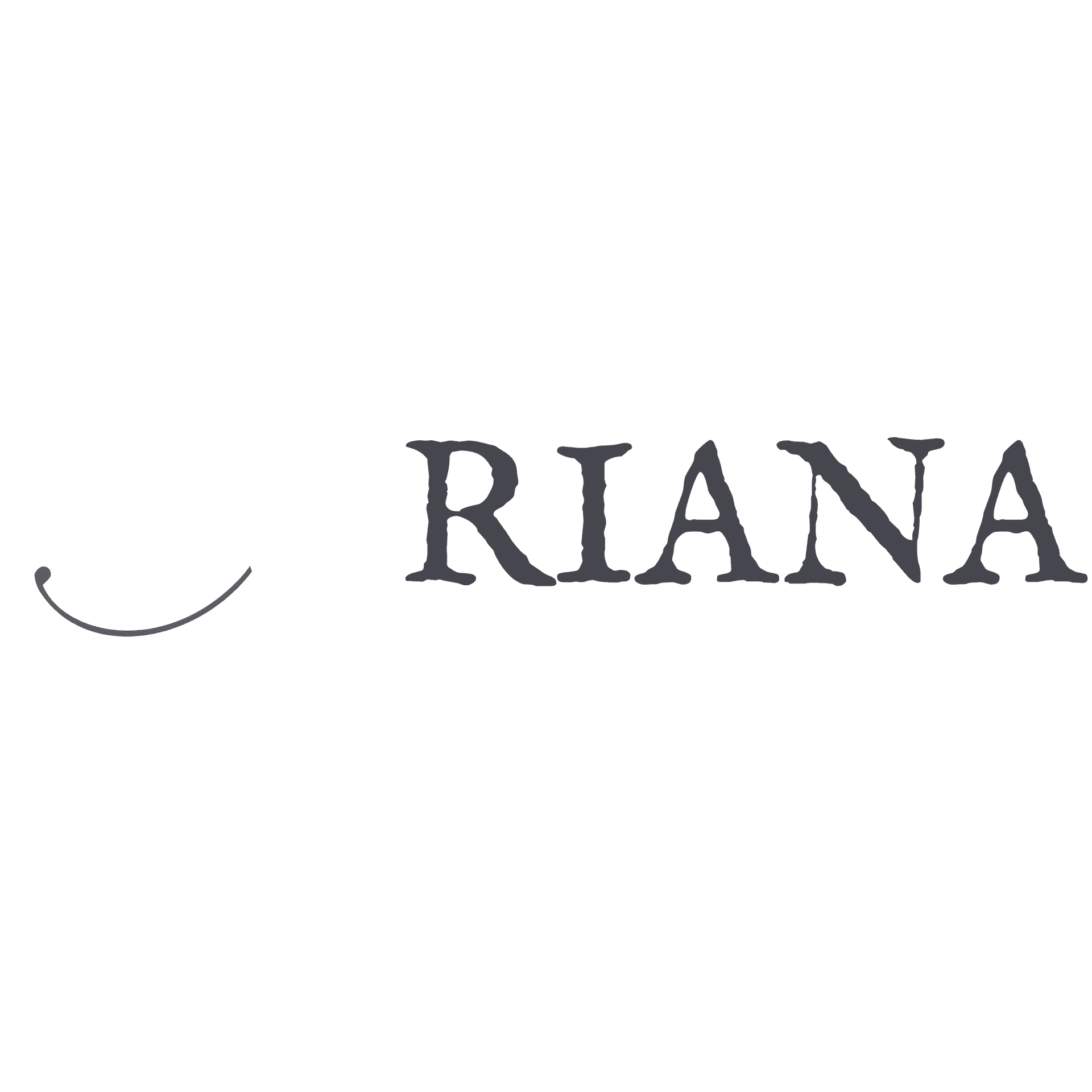 Riana word fragment from studio logo animation