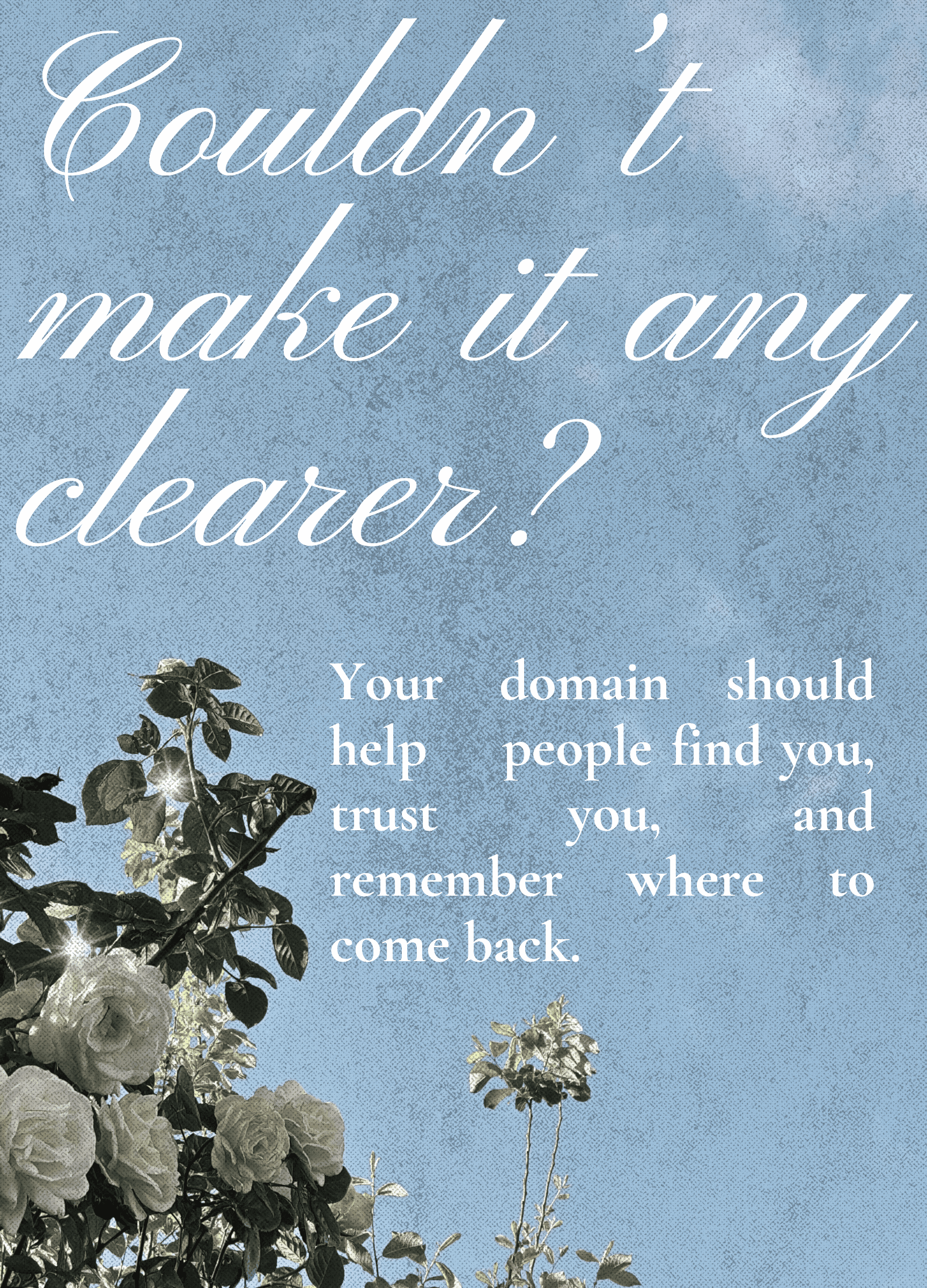 Website domain notes and planning details