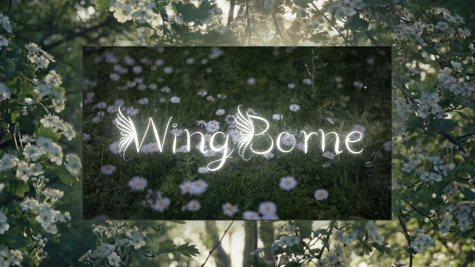 WingBorne Typeface project preview